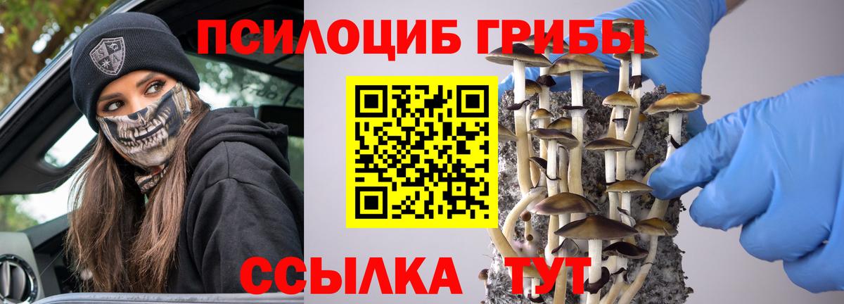 Пыть-Ях  Галлюциногенные грибы MAGIC MUSHROOMS  Вход с VPN 